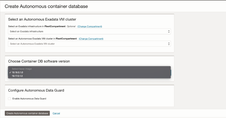 Choose Container DB Software version