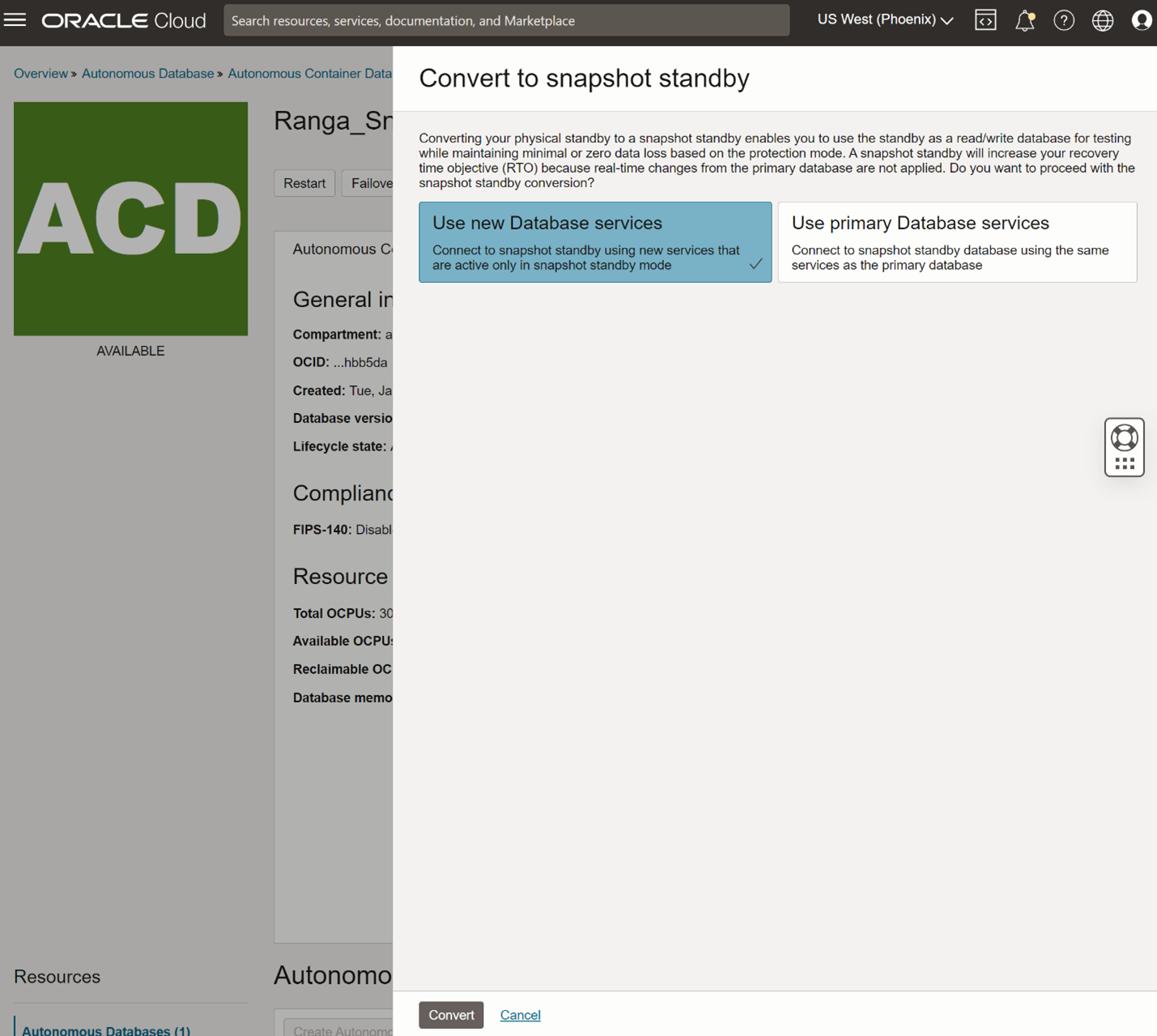 Select database services for snapshot standby
