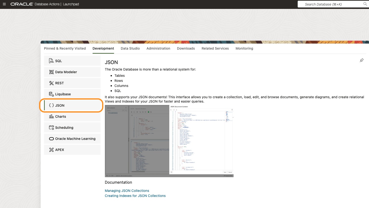 JSON in database actions