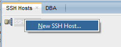 Add ssh host