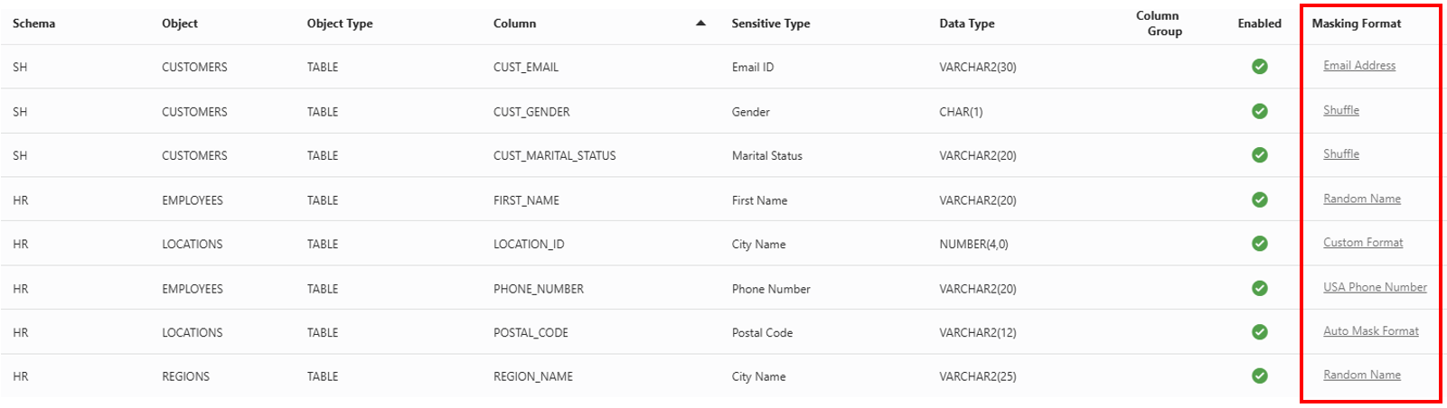Shows results of sensitive data discovery, with a default masking format automatically selected for each discovered column.