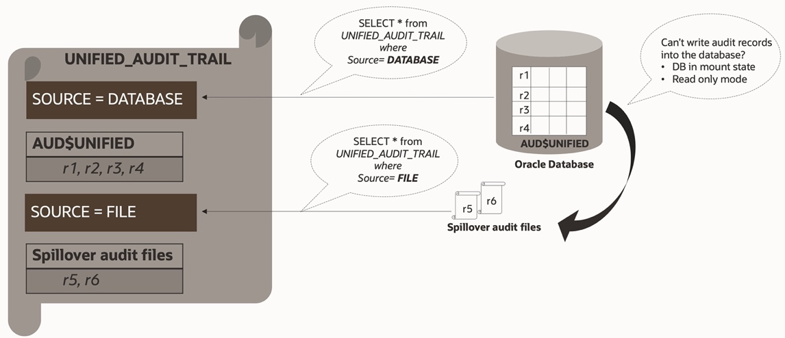 Graphic shows the Oracle Database with audit data being written to the unified audit trail. There are two queries being run against that audit trail - one query filters based on SOURCE equal to DATABASE (records written to the AUD$UNIFIED table) and the other query filters based on SOURCE equal to FILE (records written to external spillover files)