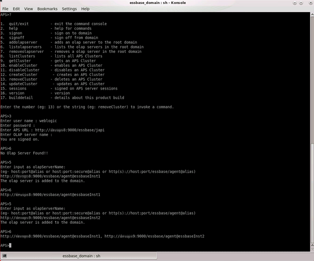 SmartView Single URL Step 3