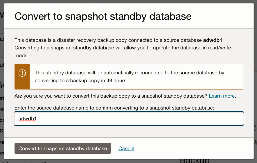 convert to snapshot standby dialog