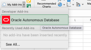 Excel Add-in Insert 2