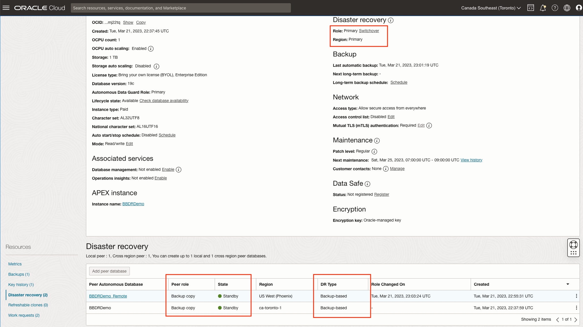 local and remote backup copies