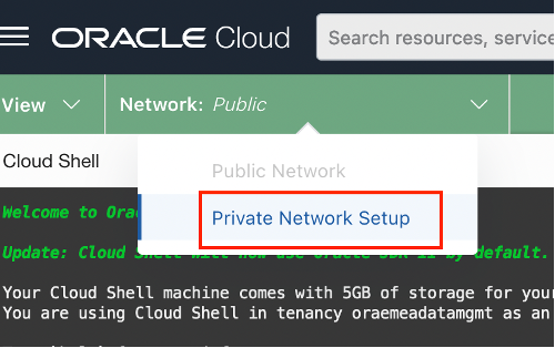 Cloud Shell private network setup