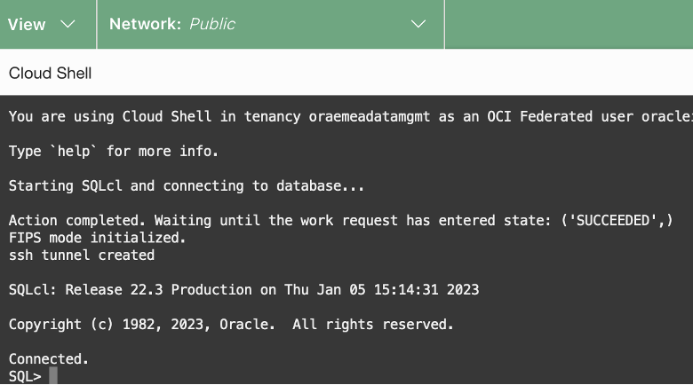 Use cloud shell and SQLcl to query ADB