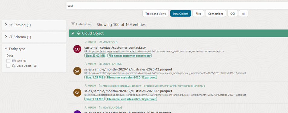 screenshot of a search for customer data in the catalog