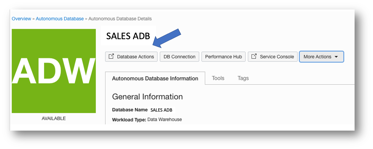 Launch Database Actions
