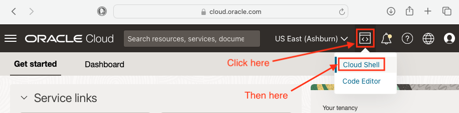 access the Cloud Shell