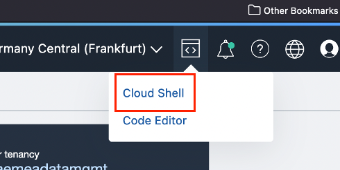 Open cloud shell
