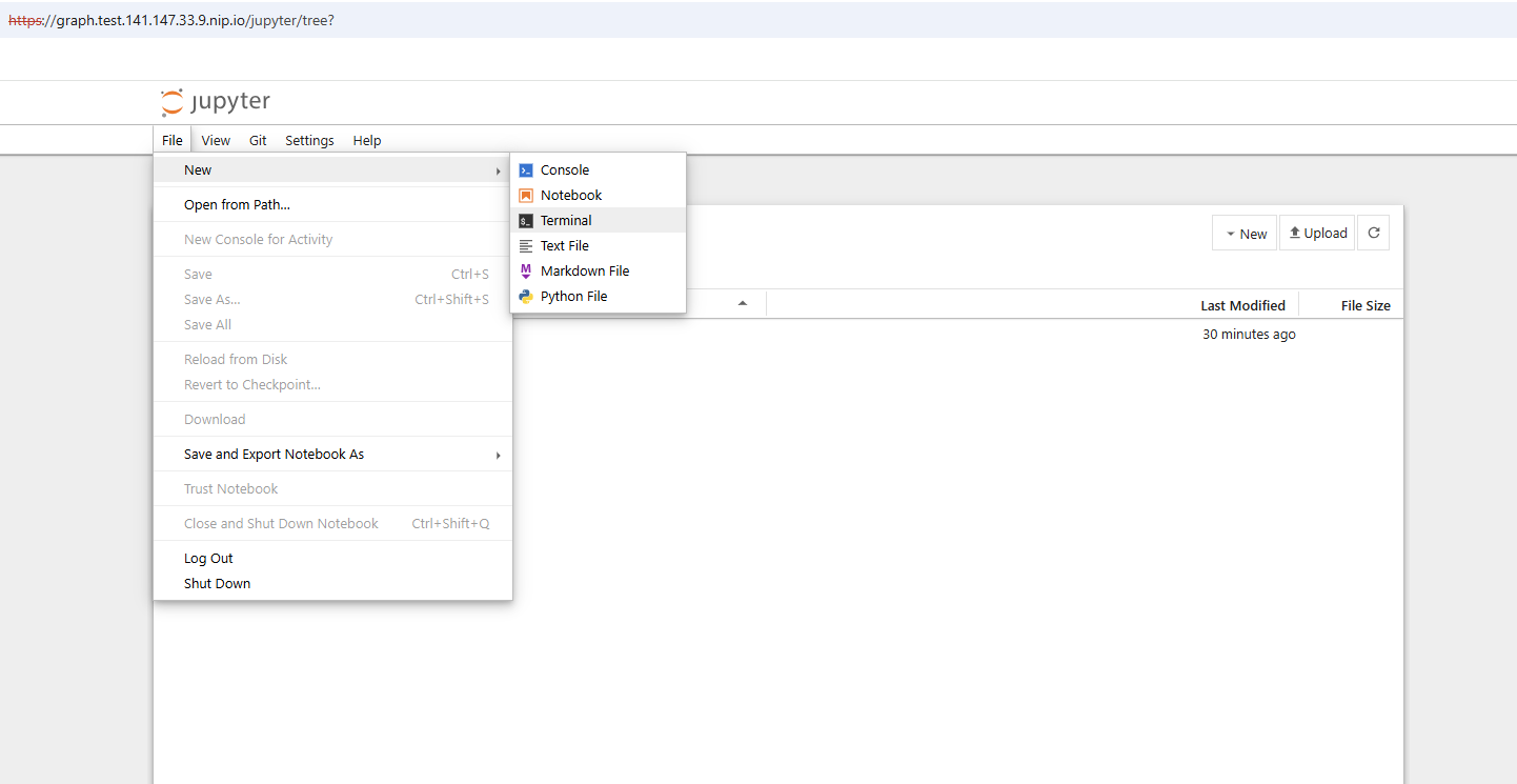 Open Terminal in jupyter