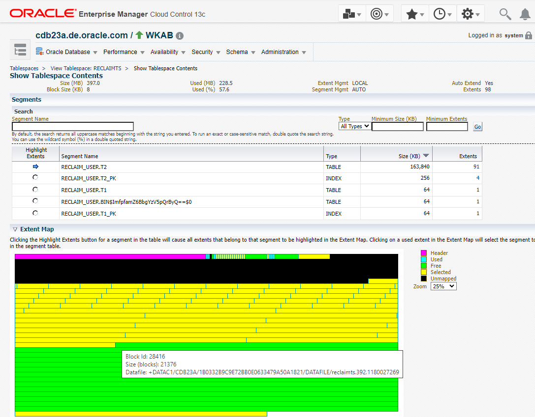 After Shrink - Extent Map