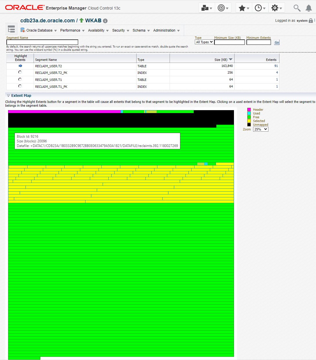 Before Shrink - Extent Map