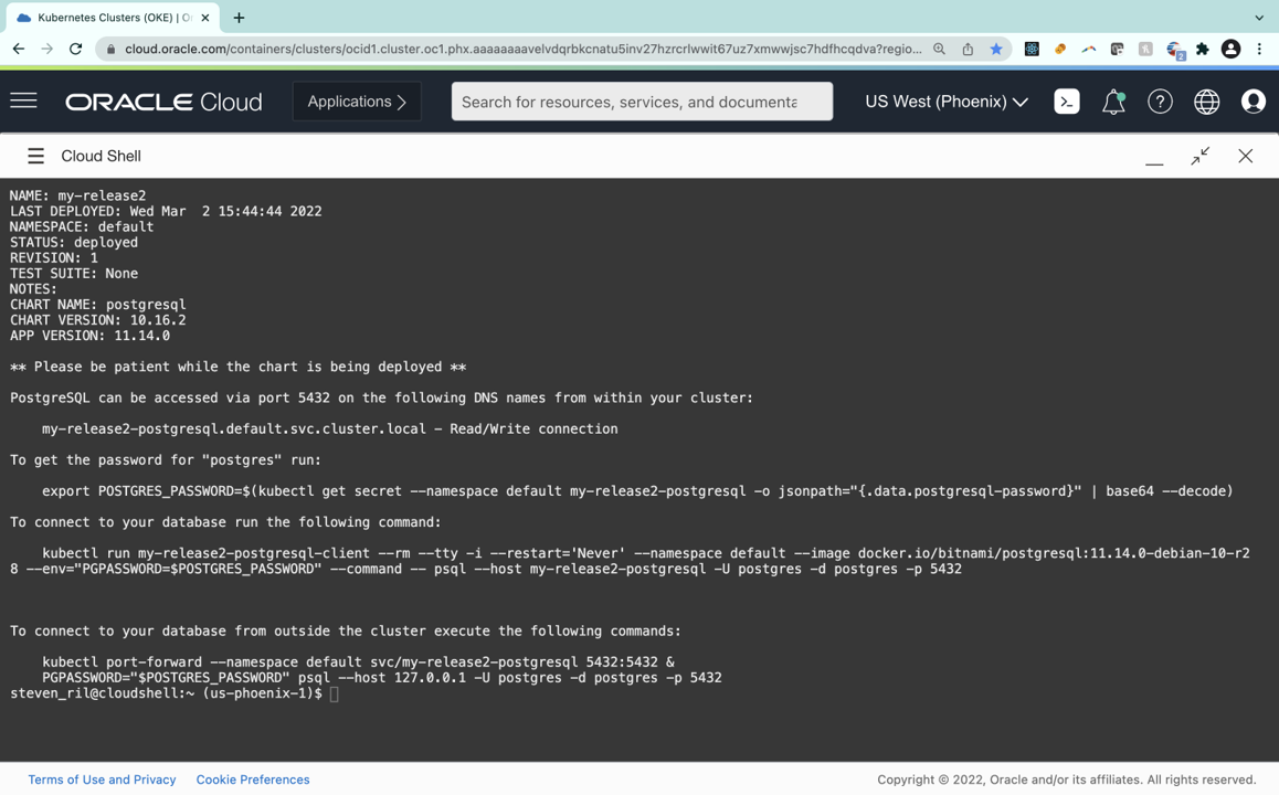 A screenshot of a successful deployment of a PostgreSQL instance in Cloud Shell.