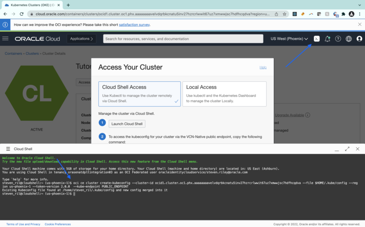 A screenshot of the previous screen with the Cloud Shell window open with blue arrows pointing to the significant information.
