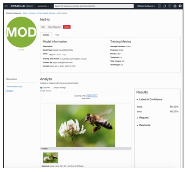 Model overview page in OCI Console