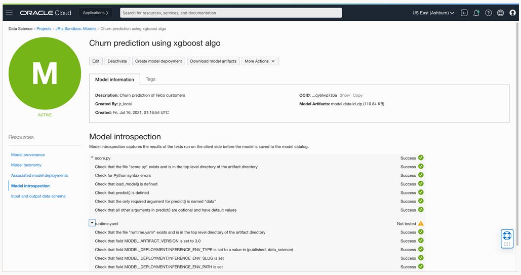 A screenshot of the model introspection from a metadata and artifact repository in the OCI Console.