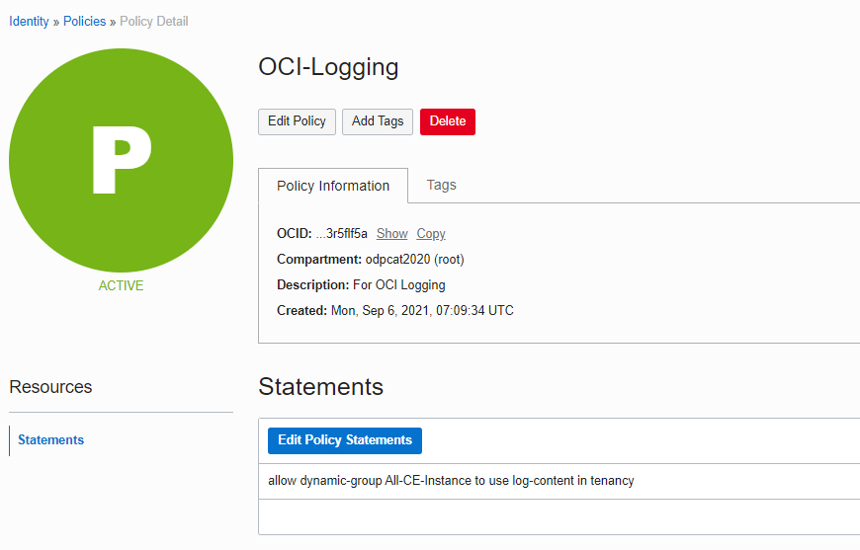 A screenshot of the Policy Detail page in the Console, showing the policy information and statements.