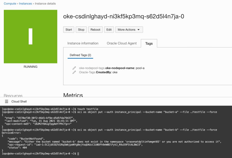 A screenshot of the Instance Details page with the Cloud Shell CLI open at the bottom.