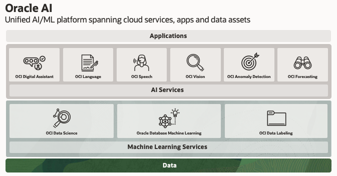 Unified AI/ML platform spanning cloud services, apps, and data assets