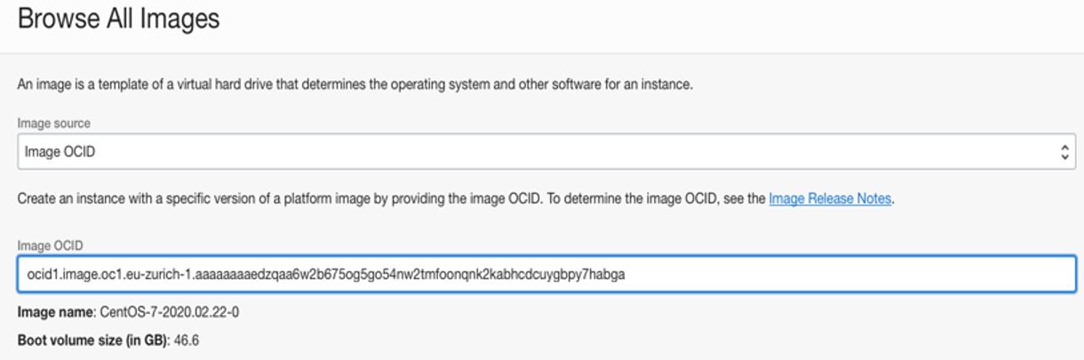 A screenshot of the Browse All Images section with the image OCID outlined in blue.