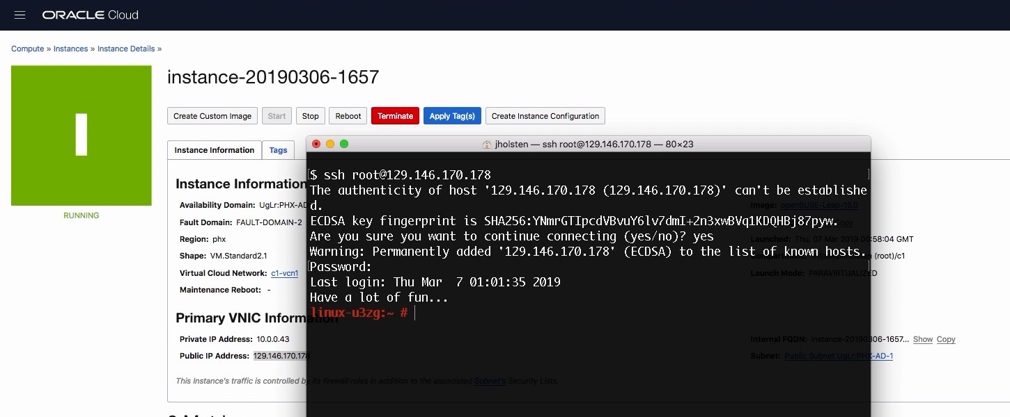 Successful ssh connection, with Public IP field on Instance Detail page in background