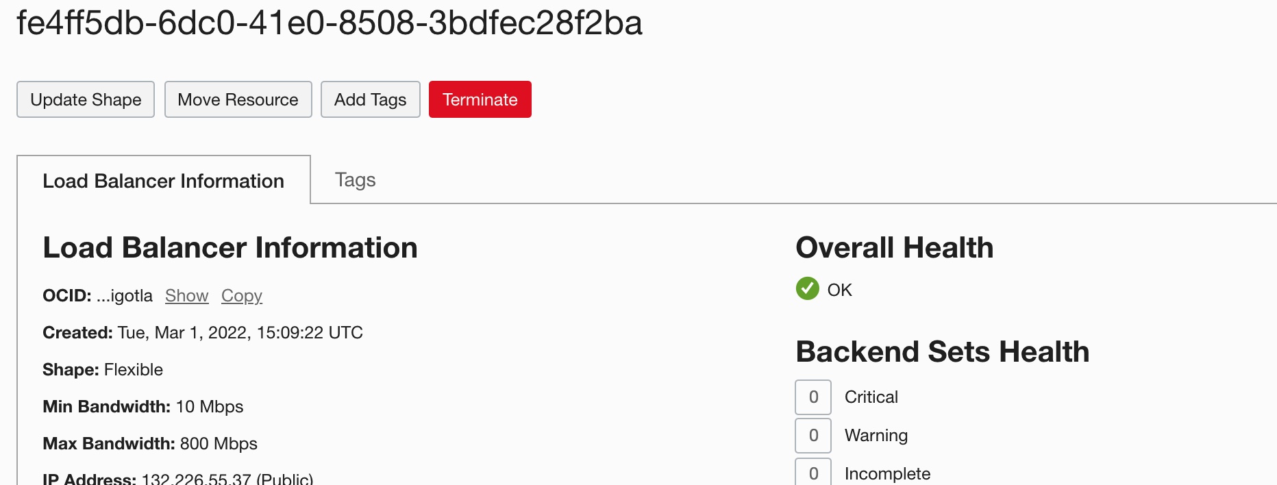 A screenshot of the updated load balancer information.