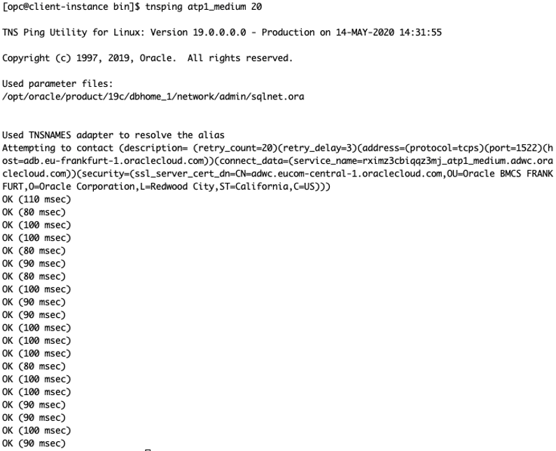 A screenshot of the TNSPING test results between Amsterdam and Frankfurt.