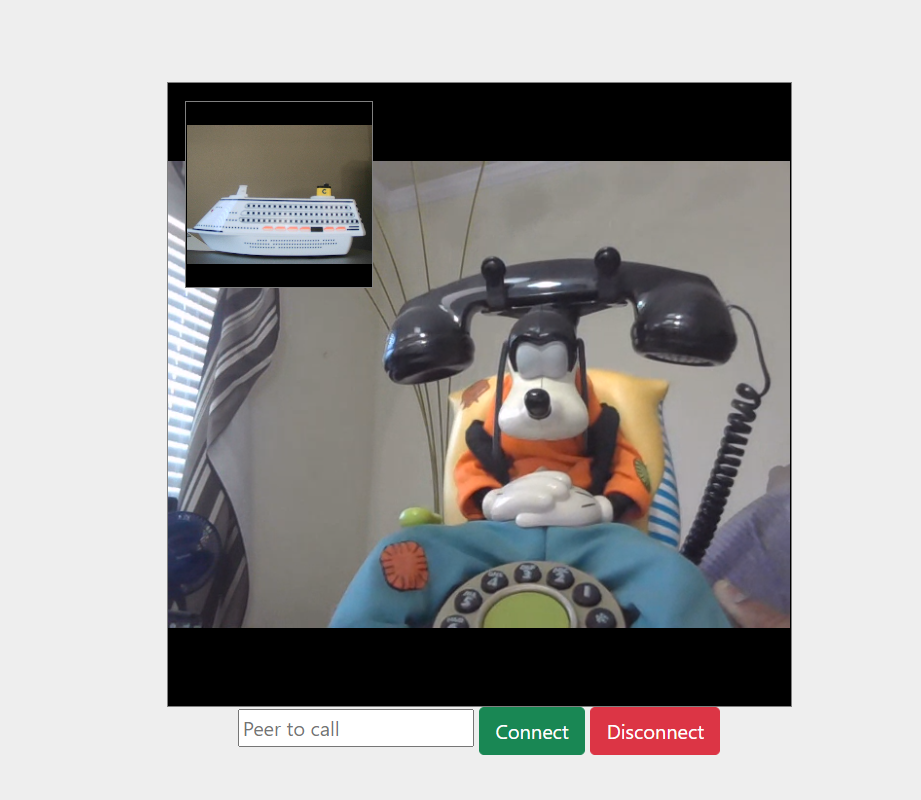 Cruise's View of Goofy