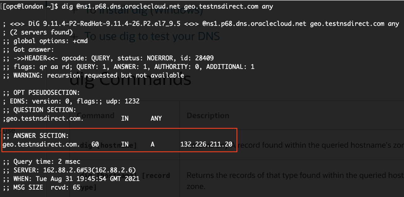 A screenshot of the command line that shows the nameserver pointing to the London web server.