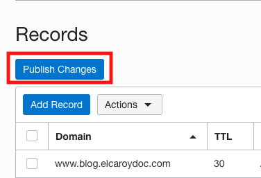 A screenshot of the Records page with the Publish Changes button outlined in red.