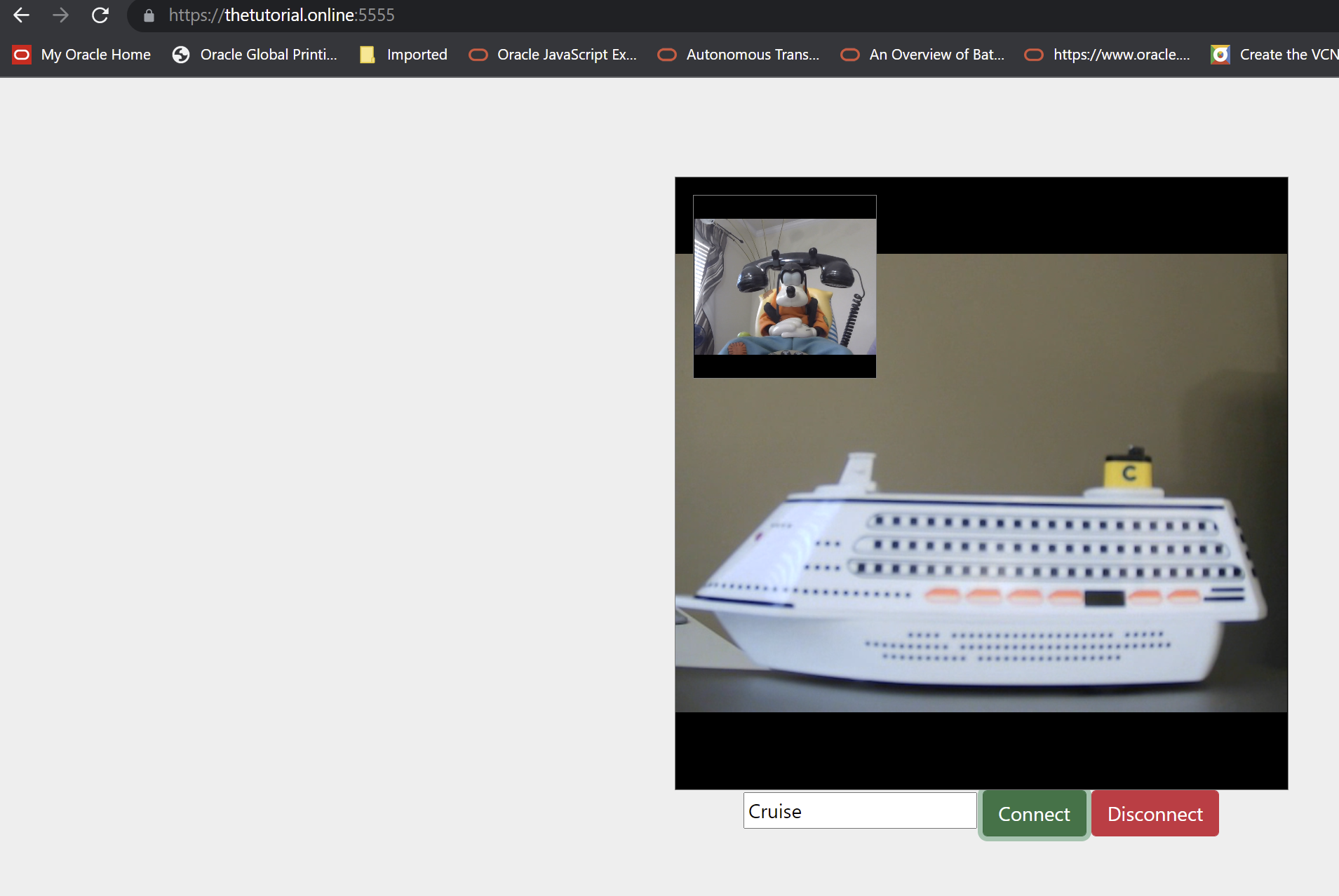 Goofy's View of Cruise