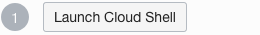Screenshot that shows the Launch Cloud Shell button.