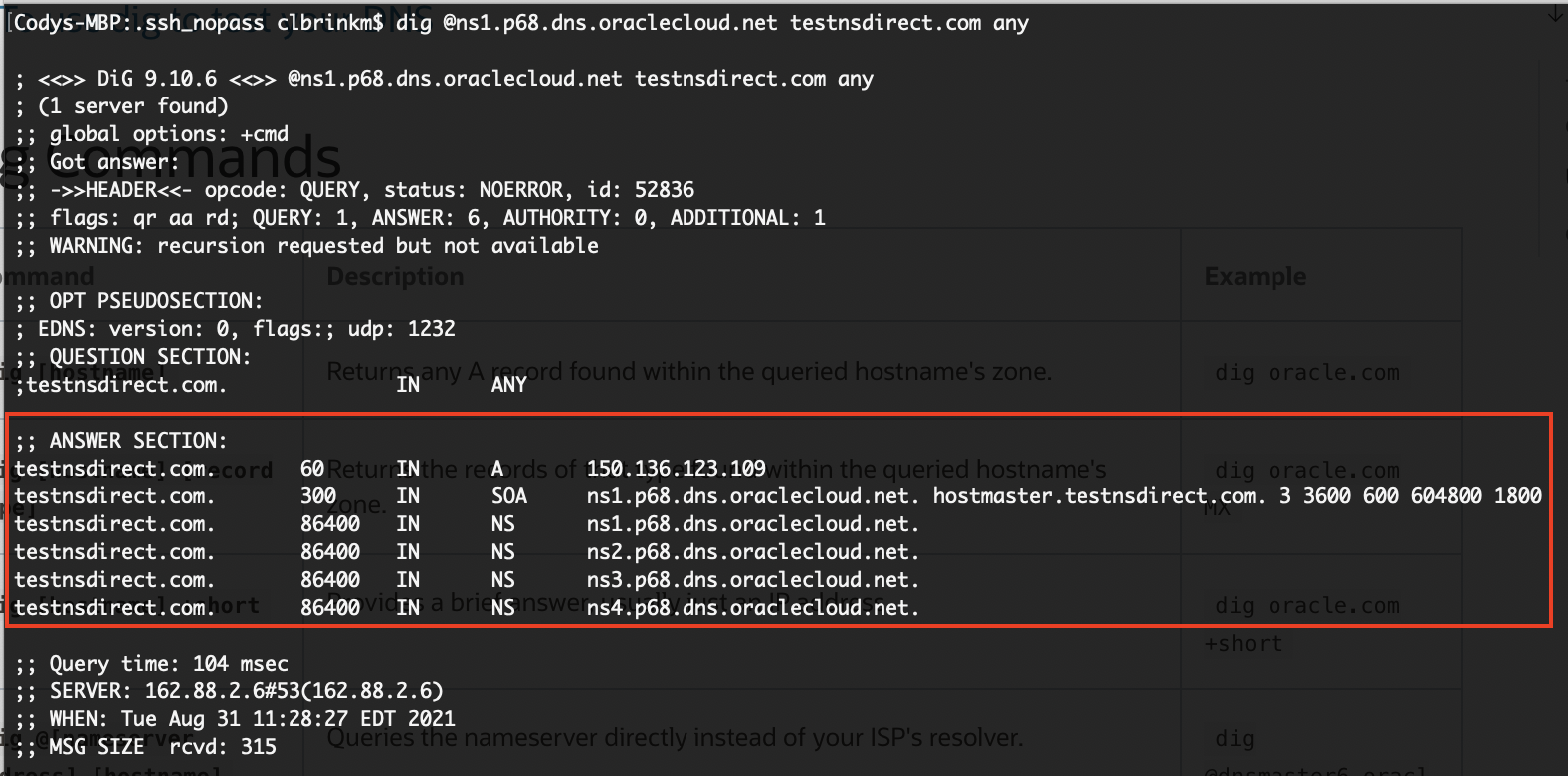 A screenshot of the command line that shows the records in the zone.