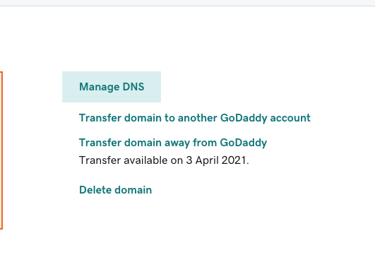 A screenshot of the Manage DNS section of the Domain Manager.