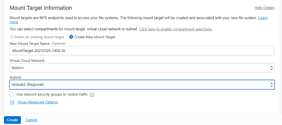 A screenshot of the Mount Target Information window with fields filled out and Create New Mount Target selected.