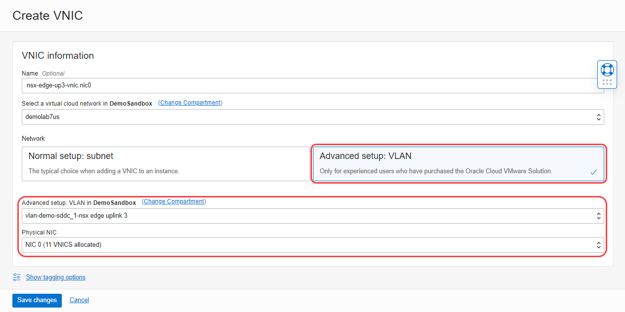 A screenshot of the Create VNIC page with details for VNICs on ESXi Host.