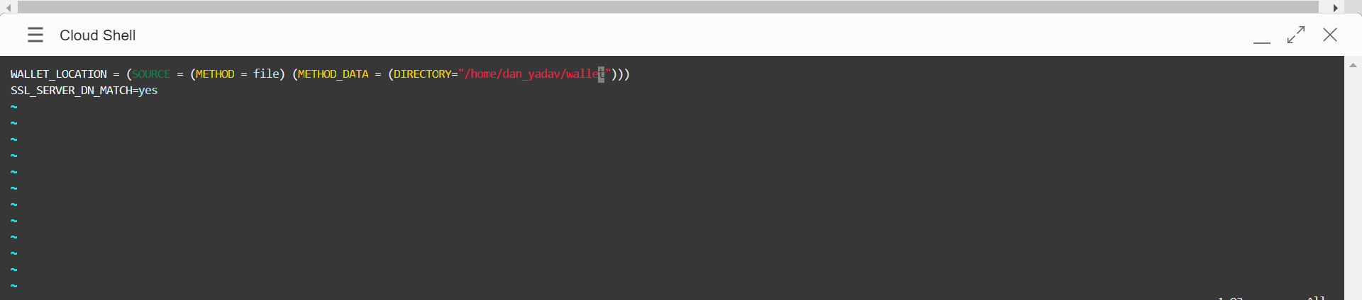A screenshot of the wallet location code in Cloud Shell.