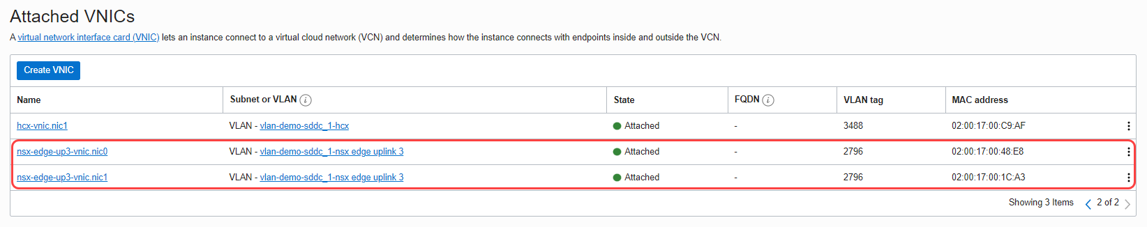 A screenshot of the list of VNICs attached to ESXi host 1.
