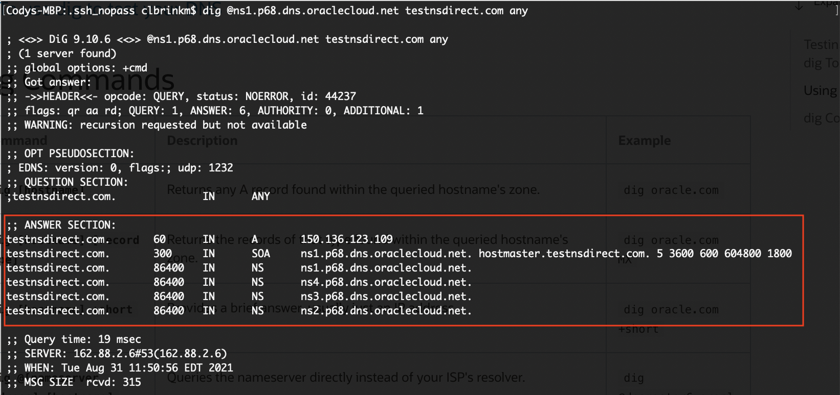 A screenshot of the command line that shows the records in the zone.