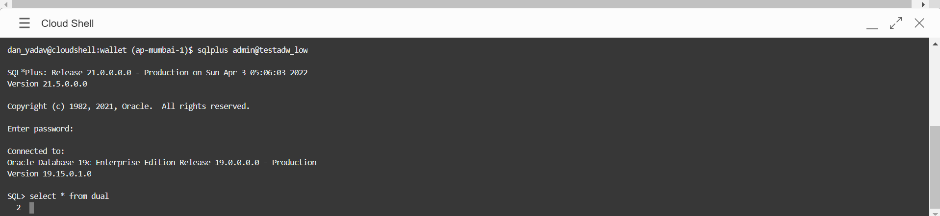 A screenshot of the resulting code prompts in Cloud Shell.
