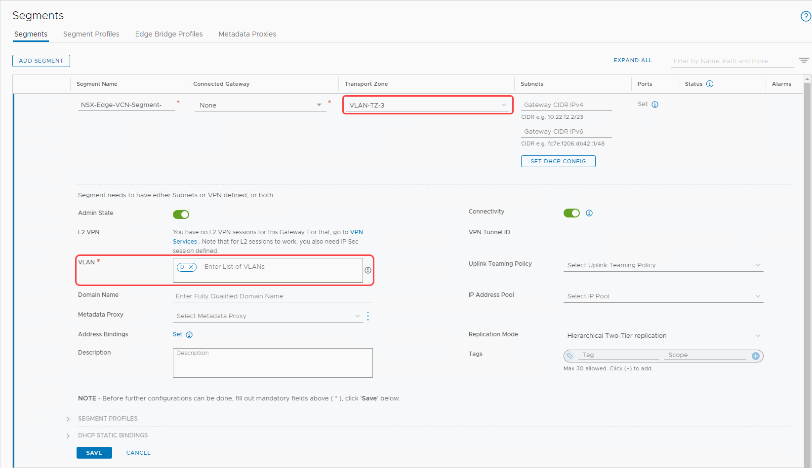 VLAN Backed Segment