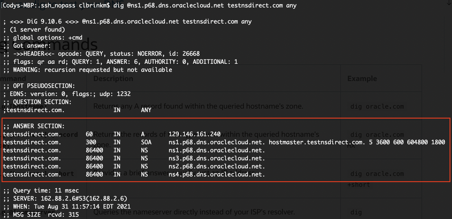 A screenshot of the command line that shows the nameserver now serving the Phoenix web server.