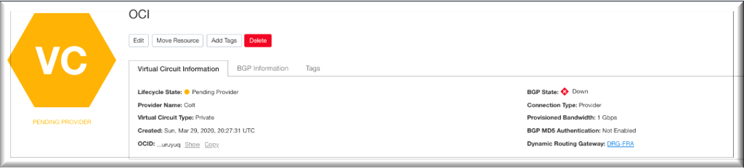Screenshot that shows the connection details page.