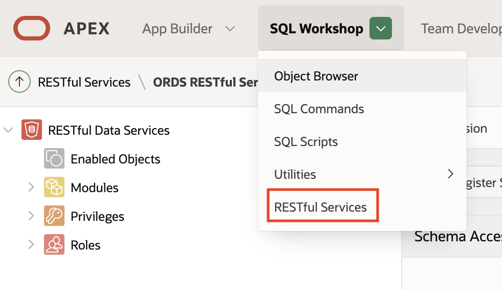 A screenshot of the expanded SQL Workshop menu expanded with RESTful services outlined in red.