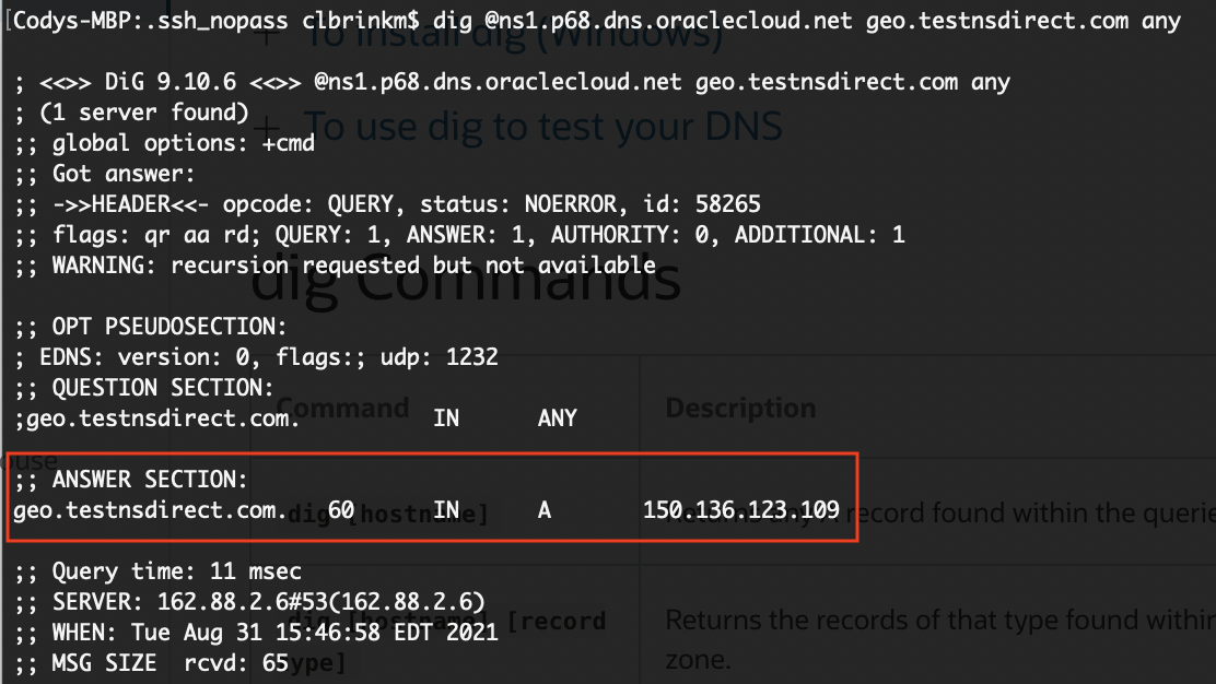 A screenshot of the command line that shows the nameserver pointing to the Ashburn web server.