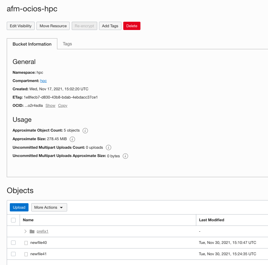 A screenshot of the bucket information for the create bucket.