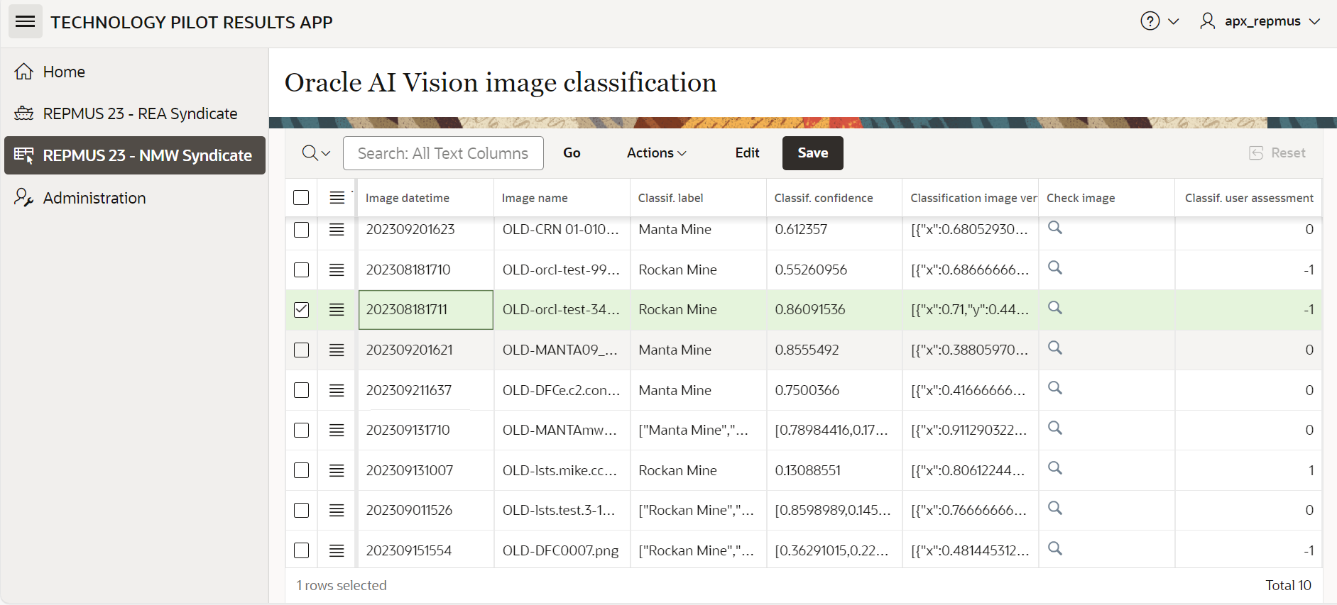 A screenshot of the Oracle AI Vision image classification results with a line highlighted.